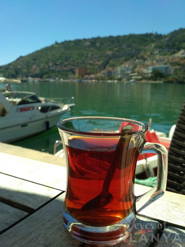 Tea near Castle -Mitropolskaia, Marina