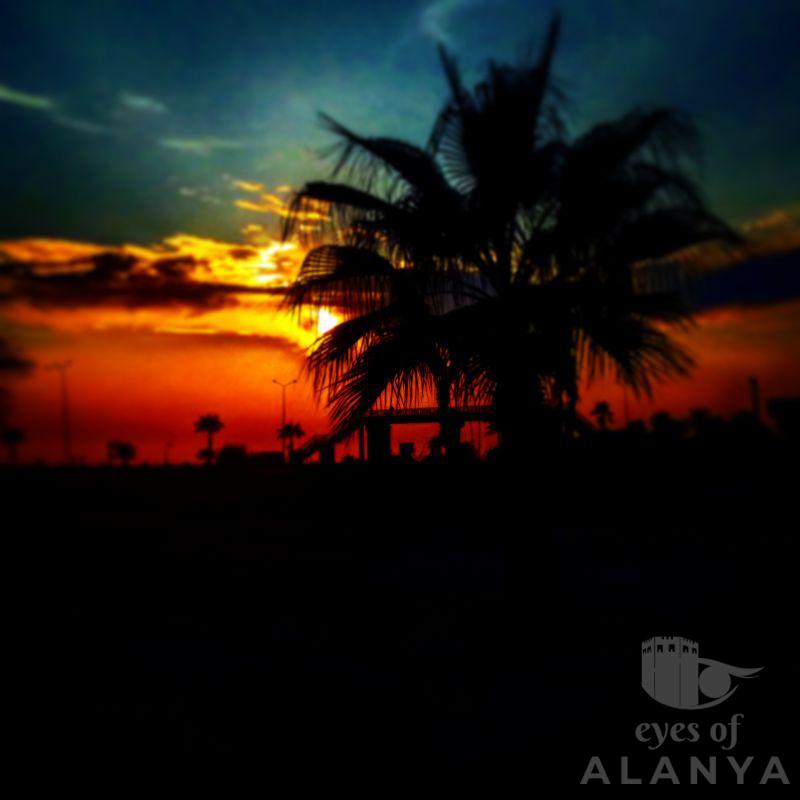 Alanya_2 -Pedko, Dima