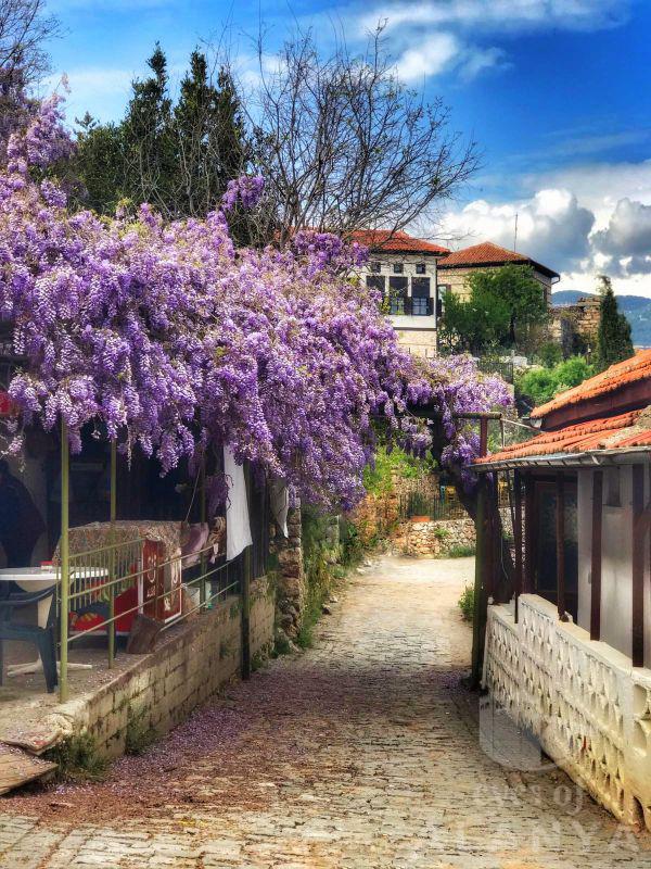 Kalede erguvanlar -Yüce, Neslihan