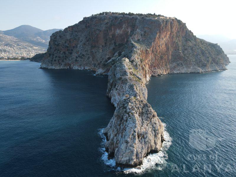 Alanya Burnu -bacoğlu, Ümit