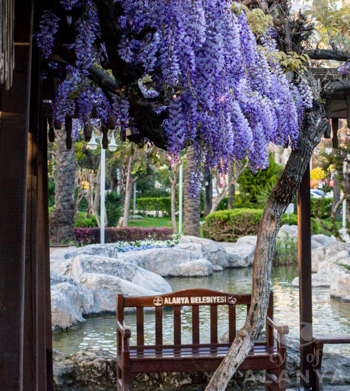 Alanya park -Mitrofanov, Vladimir