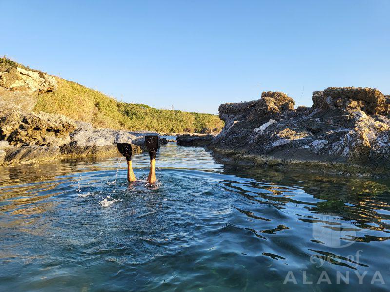 Dalgıç -KORKMAZ, SELMAN