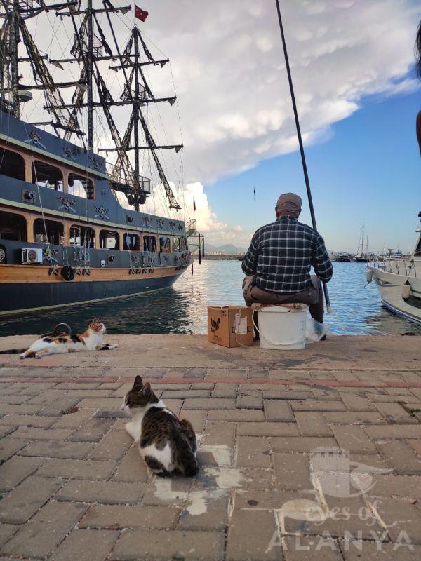 Old fishman and his fluffy fans -Остапчук, Олеся