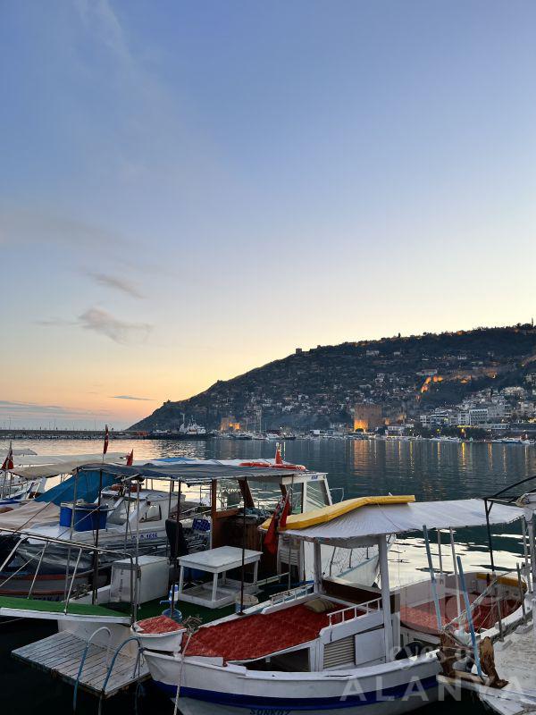 Liman -üzer, çigdem