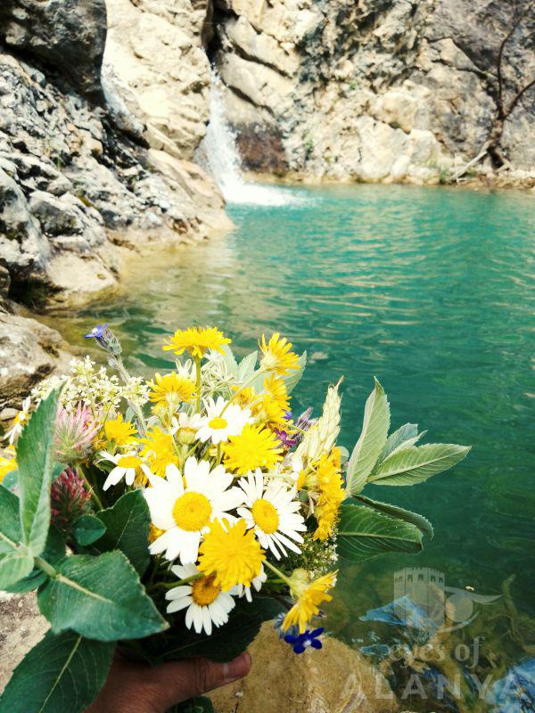 Yaylam -Sönmez, Neslihan