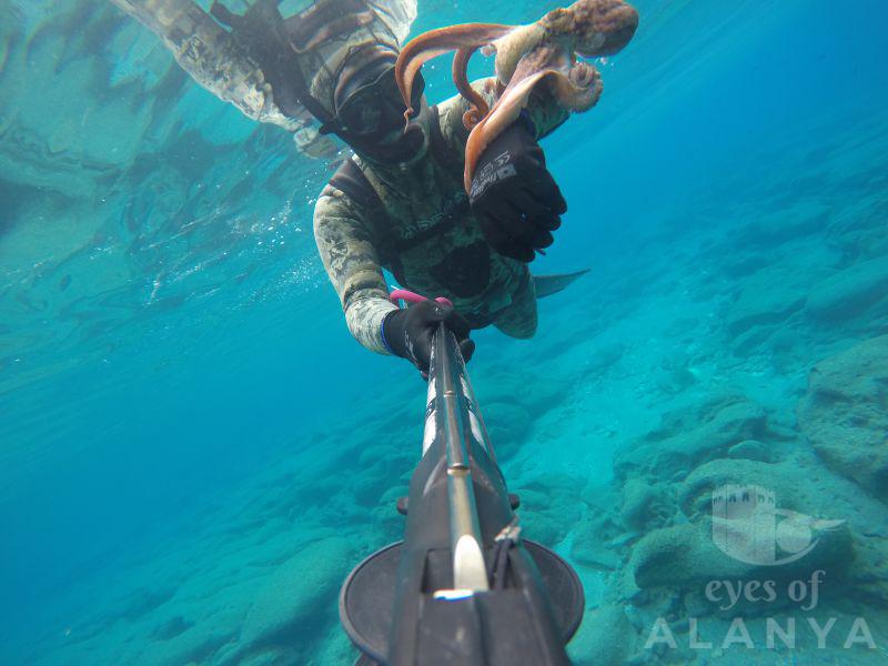 Underwater of Alanya -GARGI, FATİH