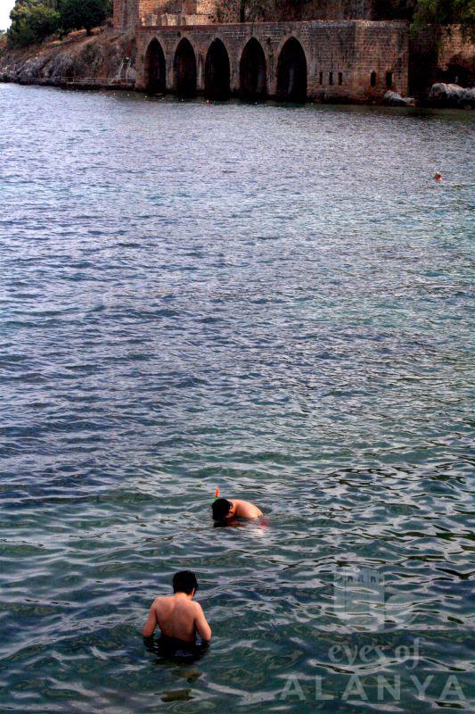 dalış -sahın, pelın