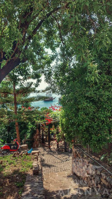 Alanya -Bağış, Zeynep