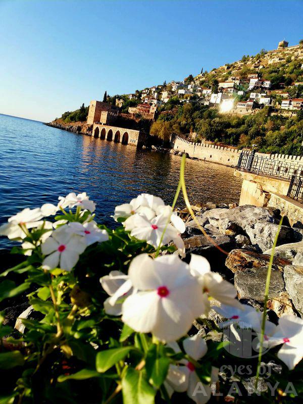 Very good morning from harbour -Uzunburun, Anna