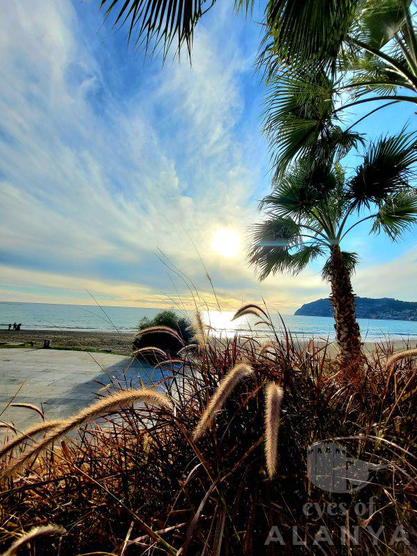 Beautiful morning in Alanya -Uzunburun, Anna