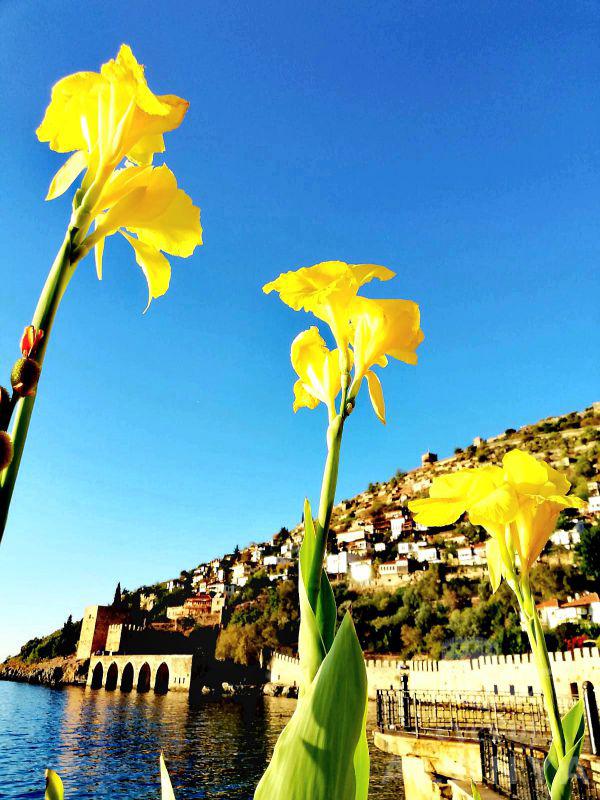 Merhaba Alanya -Uzunburun, Alaattin