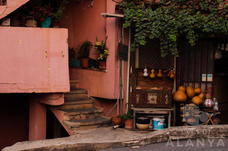 Eskimez Alanya Güzelliği -SARI, ELİF