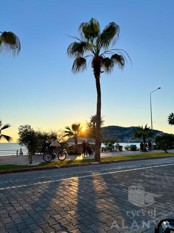 Alanya Sahili Konulu -Yaylacı, Talha