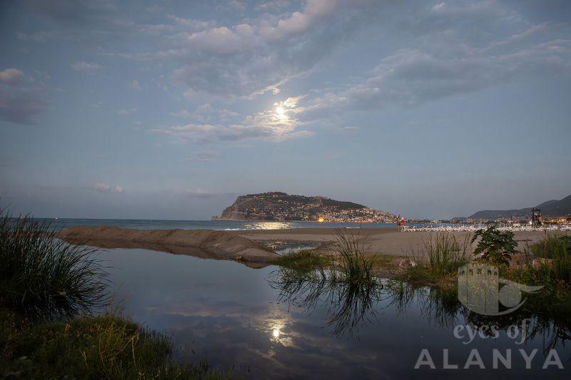 Ay ışığında Alanya -Yoldaş, Ayşe Gülşen