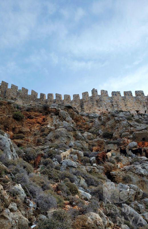 Autumn Castle Climbers -Şenli, Hüseyin